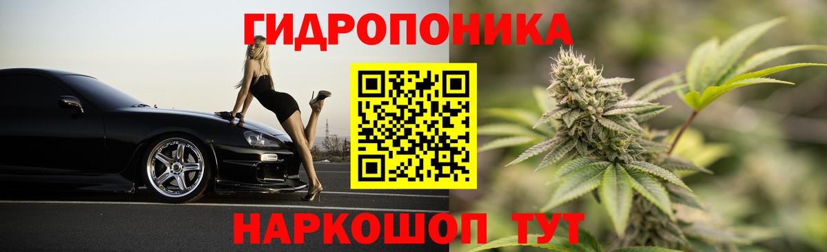 Шишки марихуана марихуана Тимашёвск
